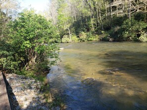 The lovely Cartecay River just 15 feet from back patio.