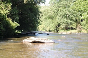 Find your favorite rock just upstream for summer sunning.