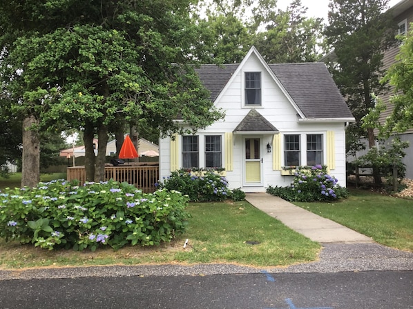 Front yard
