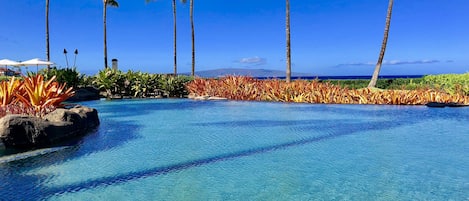 The Serene Natural Adult Quiet Oceanside Pool & Spa at The Beach Villas