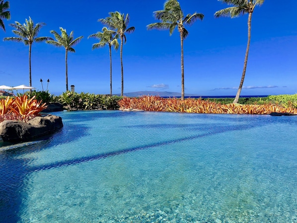 The Serene Natural Adult Quiet Oceanside Pool & Spa at The Beach Villas