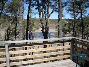 Large deck overlooking small pond