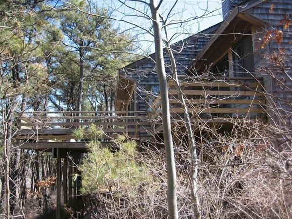 Beautiful wooded setting near Bay and Pamet River