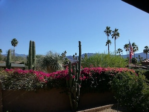 Southern view from your private courtyard! 