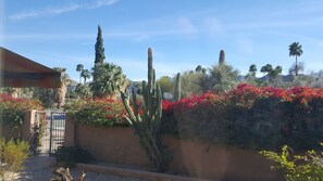 Another gorgeous southern view from front bedroom.