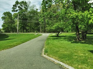 View from the driveway