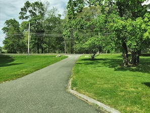 View from the driveway