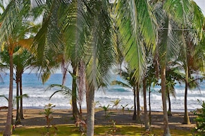 View from inside; our beach is directly in front of the house!