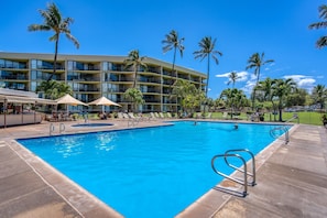 Inviting pool area. Come and jump in.