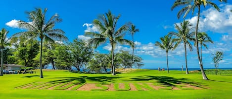 Maui Sunset B103 is a tropical, well maintained beachfront complex. Book us now.