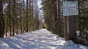Skidåkning och snöaktiviteter