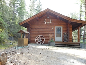 Custom Log Cabin, cozy, private, surrounded by natural forest.