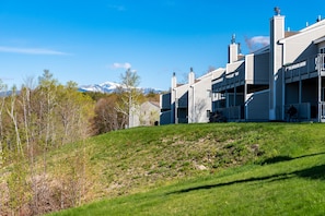View of Mount Washington from the back lawn.