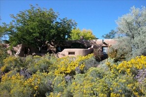 Guest house in fall