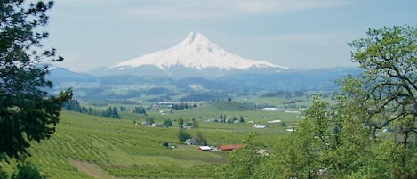 Enjoy the stunning views from our lodge