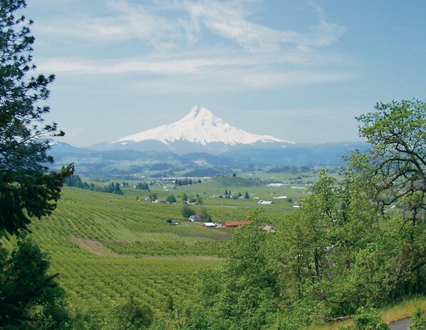 Enjoy the stunning views from our lodge