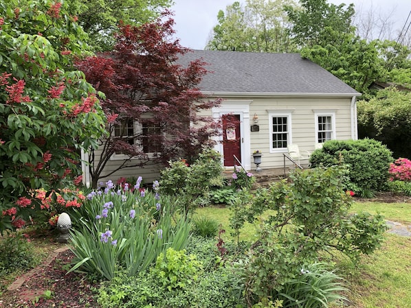 Cape Cod at Wilson Park - Spring