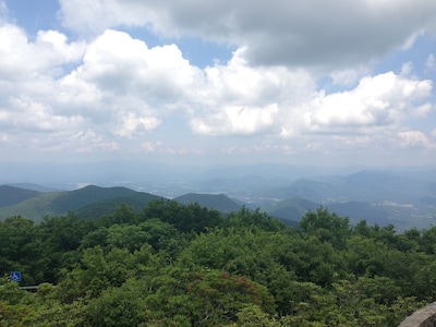 Holly Cabin on Town Creek, in Northeast Mountains Blairsville