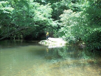 Holly Cabin on Town Creek, in Northeast Mountains Blairsville