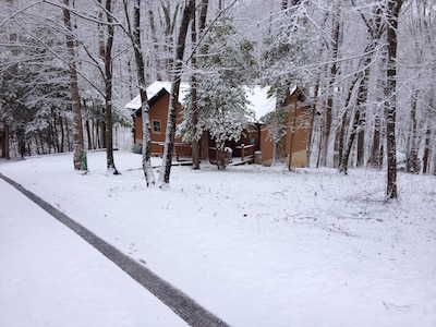 Holly Cabin on Town Creek, in Northeast Mountains Blairsville