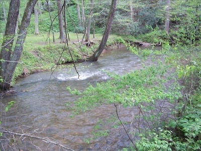 Holly Cabin on Town Creek, in Northeast Mountains Blairsville