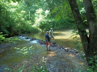 Holly Cabin on Town Creek, in Northeast Mountains Blairsville