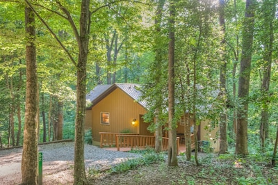 Holly Cabin on Town Creek, in Northeast Mountains Blairsville