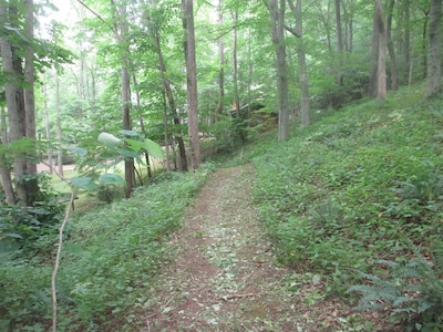 Holly Cabin on Town Creek, in Northeast Mountains Blairsville