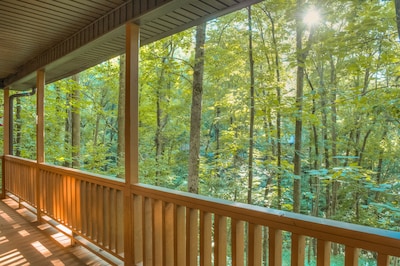 Holly Cabin on Town Creek, in Northeast Mountains Blairsville