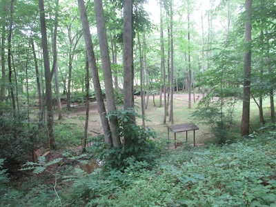 Holly Cabin on Town Creek, in Northeast Mountains Blairsville