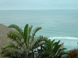 Rum