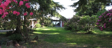 Entrance into home