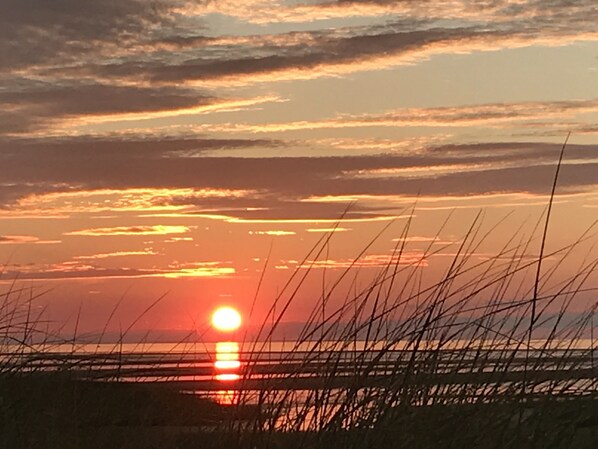 Oklassificerad bild, 1 av 19, knapp