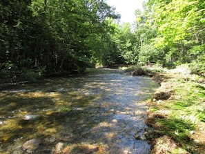 Mill Brook