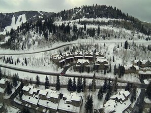 Arial view of 'In the Trees'