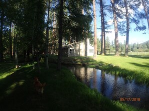 West cottage area NF Lake Creek