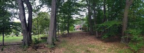 Cottage from the bottom of the yard in the woods