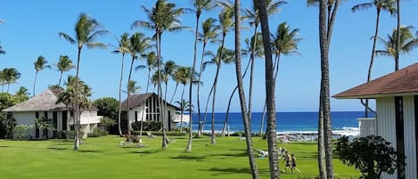 Ocean View from the Lanai