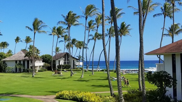 Ocean View from the Lanai