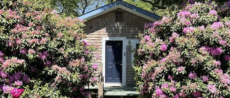 Beautiful curb appeal and privacy.