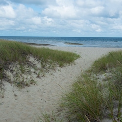 the beach