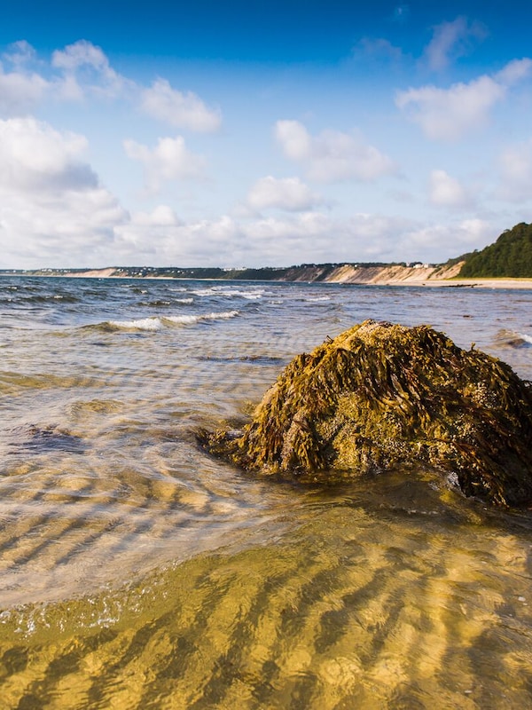 beach near Ellisville Harbor State Park side