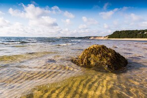 beach near Ellisville Harbor State Park side