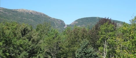 View from Deck, Front and Back Yards and Kitchen Dining and Living areas