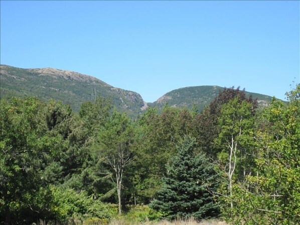 View from Deck, Front and Back Yards and Kitchen Dining and Living areas