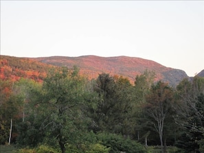incredible foliage views from comfortable, sunny, and relaxing deck and inside!