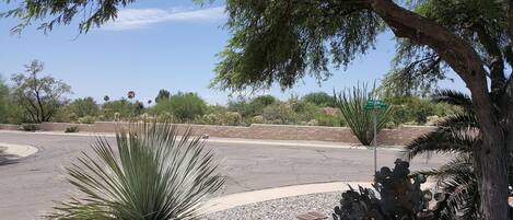 View from back patio