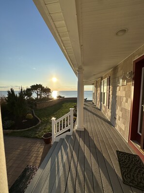 Front poach  every day just before sunset