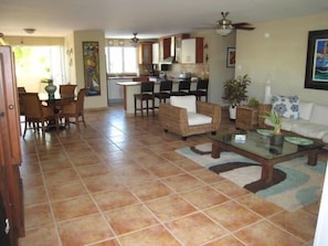 Open space plan with large living, dinning, kitchen area.