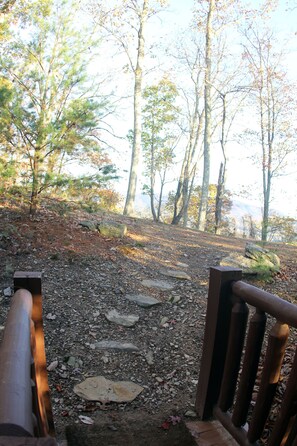 Area out back—great for walking your pups!